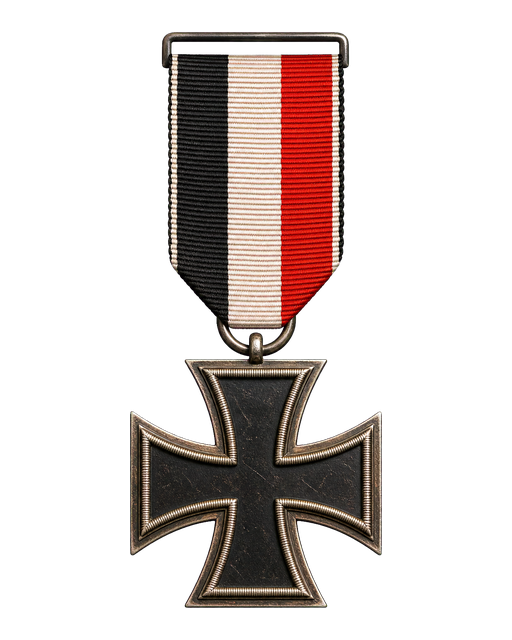 Campaign veteran medal asset